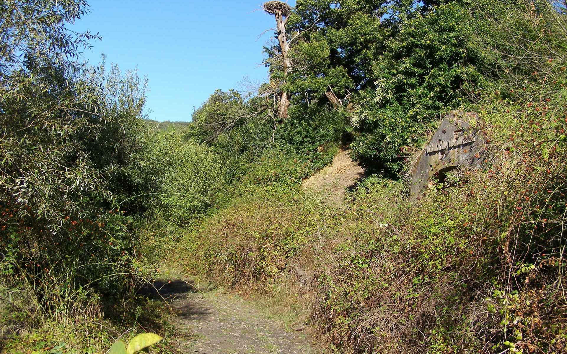 Antiguo apeadero de Santa Marina del f.c. Ponferrada-Villablino